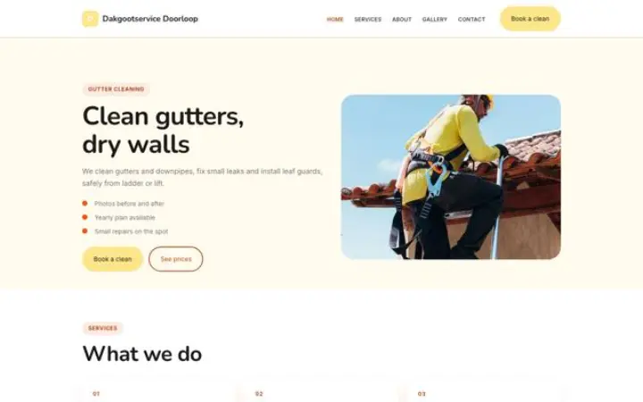 Sito web per pulizia grondaie