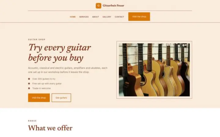 Sito web per negozio di chitarre