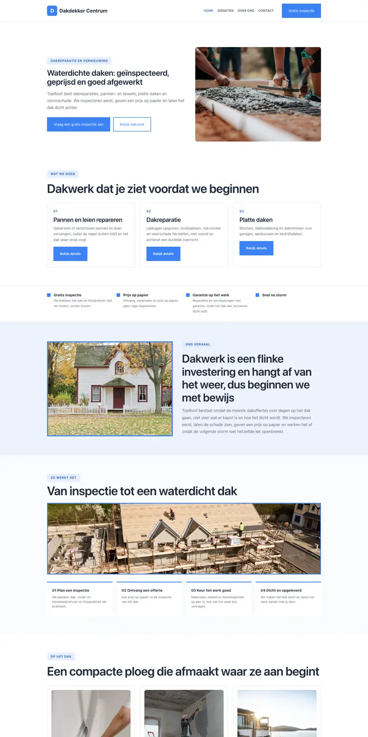 Esempio di un sito web per conciatetto