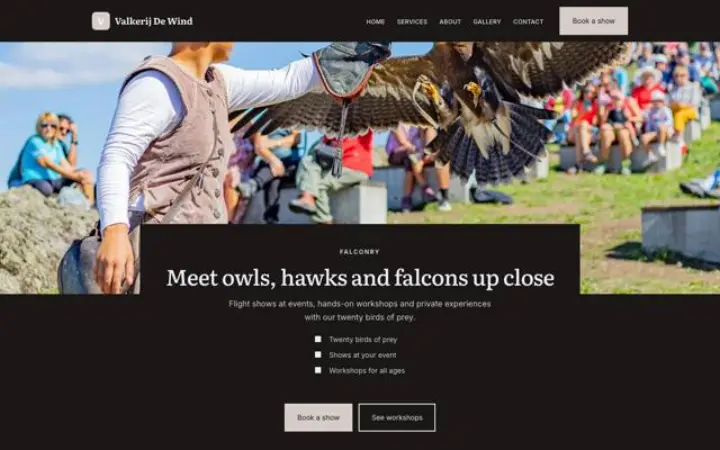 Sito web per falconeria
