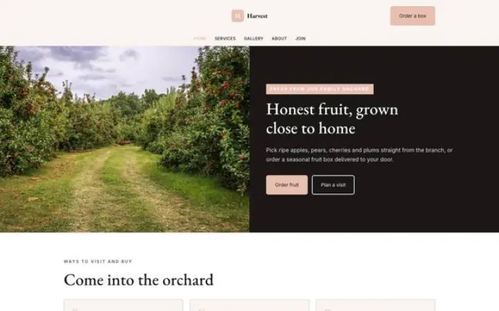 Sito web per frutteto