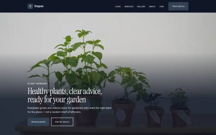 Sito web per vivaio